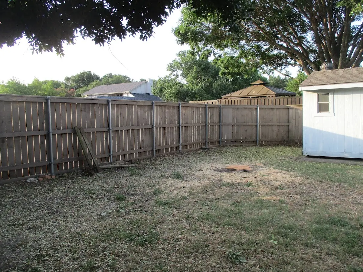 Cleared yard after professional tree removal in Mc Laughlin