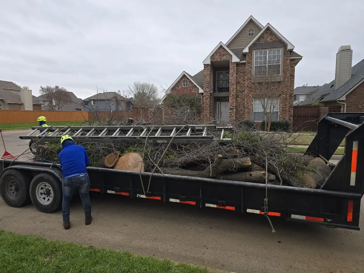 Expert Tree Fertilization with proper safety equipment in Mc Laughlin